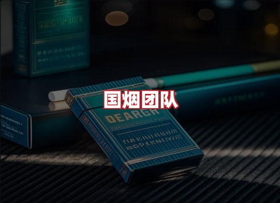 国烟团队